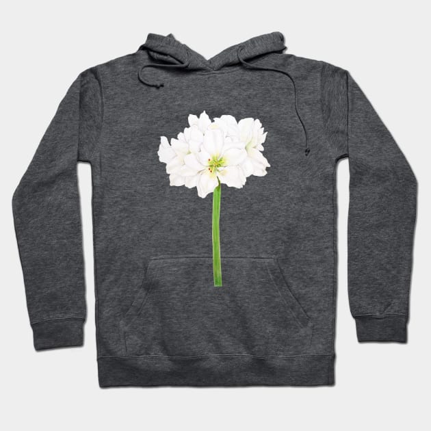 white Amaryllis flowers watercolor Hoodie by colorandcolor